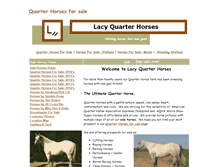 Tablet Screenshot of lacyquarterhorses.com